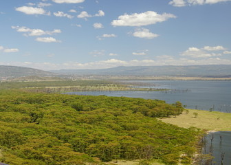 Fototapeta premium Lake Nakuru seen from the Baboon Cliff View Point, Nakuru