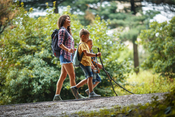 Naklejka na ściany i meble Mother and her little sons hiking trough forest .Outdoor leisure concept.