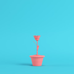 Pink low poly flower in a pot on bright blue background in pastel colors