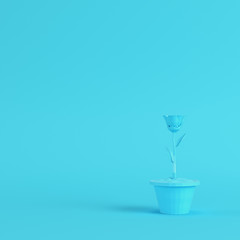 Low poly flower in a pot on bright blue background in pastel colors