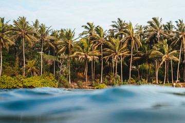 Tropical island