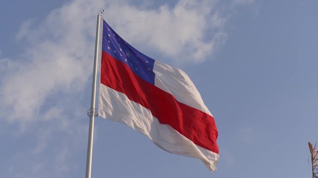 Flag of the Amazonas To Color (Slow Motion)