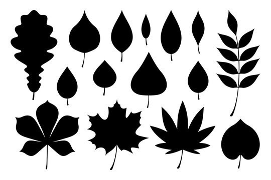 Set of black autumn leaves. flat style. isolated on white background