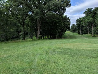 Trees on a golf course