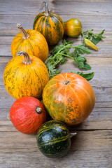 Composition of a different varieties and colors of pumpkins on on rustic wooden background