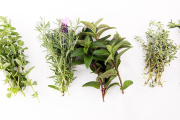 bunch of garden fresh herbs.