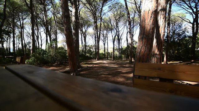 Wooden table and bench in Caprera