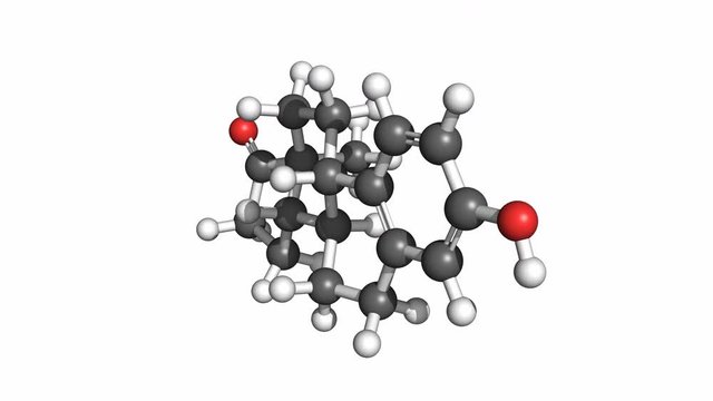 Estrone molecule, rotating ball and stick model, seamless loop