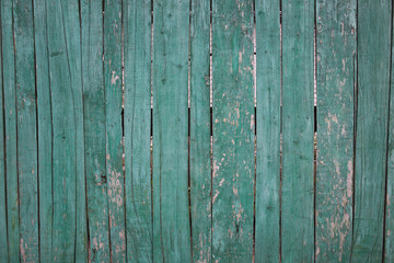 Fototapeta premium The old plywood is blue. Close-up test