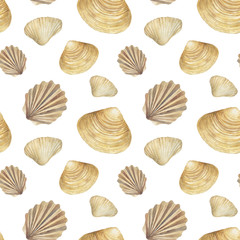 Seamless pattern with seashells. Hand drawn watercolor illustration