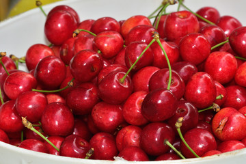 Bunch of sweet red cherries 