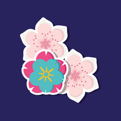 Beautiful flower and blossom flowers over blue background, colorful design. vector illustration