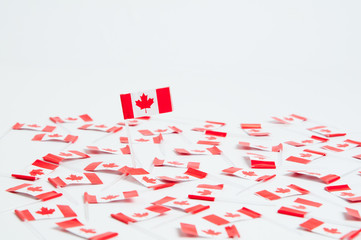 lots of canadian flags on a white background