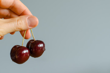 Sweet cherry in woman's fingers at the left side of the frame. copy space for text.
