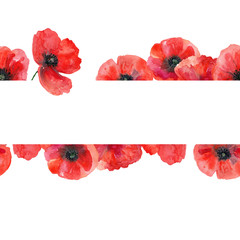 Seamless watercolor template with poppies
