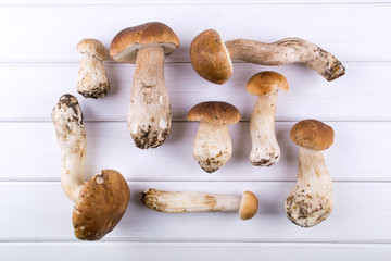 Composition with harvested wild porcini mushrooms on white wooden background. Flat lay, top view