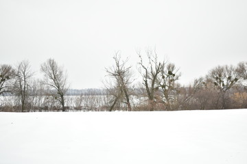 field in winter on a cloudy day