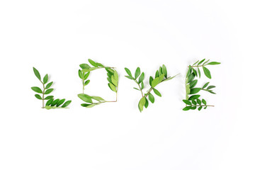 Word Love made from leaves on a white background. Valentine's Day concept. Flat lay, top view.