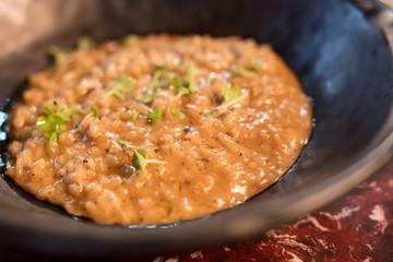 truffle and cheese risotto