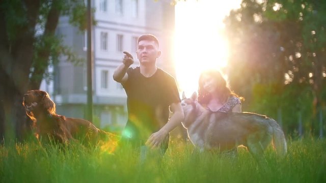 Loving couple with their dogs having a rest outdoors - throws a stick to a dog at sunset