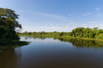 Obraz na płótnie Canvas Beautiful image of the Brazilian wetland, region rich in fauna and flora.