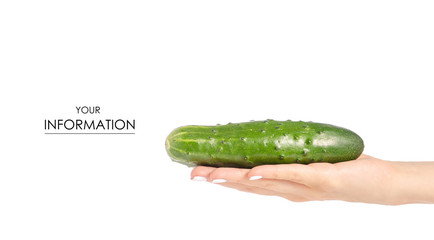 Cucumber in a hand pattern on a white background isolation