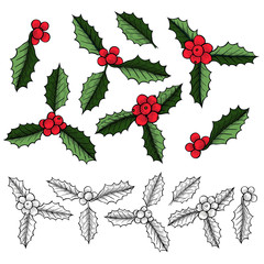 Set of Christmas mistletoe