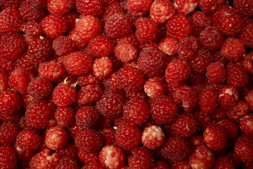 Red raspberry fruit background