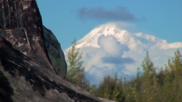 Focus from Mt. McKinley to Charred Trunk