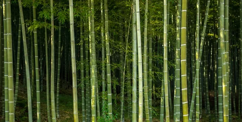 Stickers pour porte Bambou Forêt de bambous, Japon