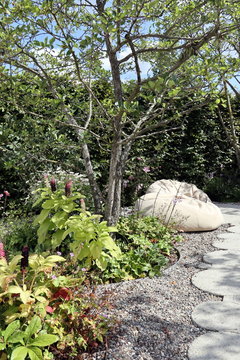 Kiesgarten