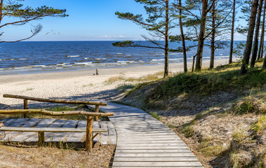 Captivating marine landscape at forestry sandy beach, Baltic Sea, Europe