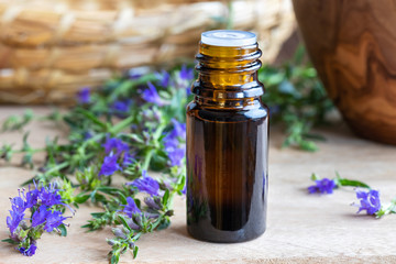 A bottle of hyssop essential oil with fresh blooming hyssop