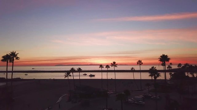Aerial Approach: Harbor Through Palms at Sunset
