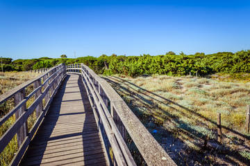 Wooden catwalk on the beach