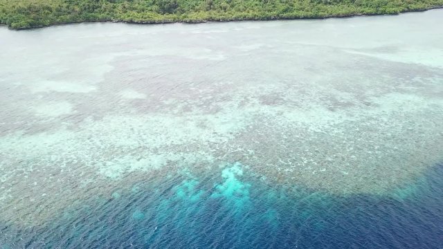 Aerial View of Fringing Coral Reef on Tropical Island