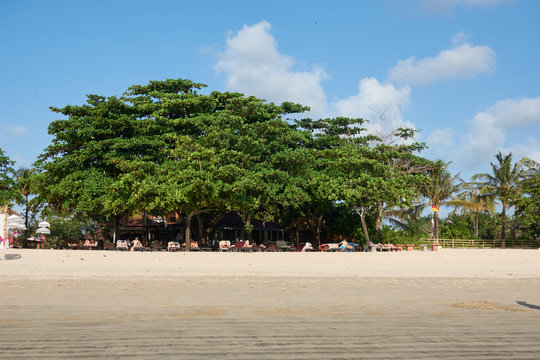 Paradise resting place on the beach under the trees