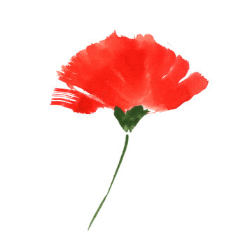 Remembrance Poppy by watercolor