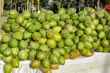 Selling coconuts at street side
