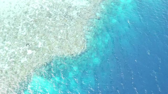 Aerial View of Coral Reef Drop Off