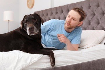 Adorable brown labrador retriever with owner on bed indoors