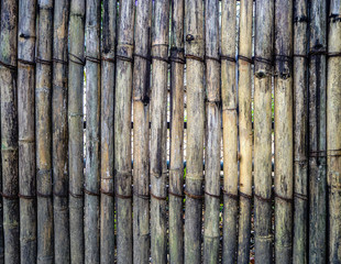 wall made of bamboo cane