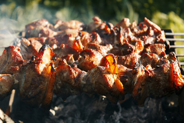Fototapeta premium hot shish kebab closeup at the stake