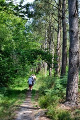Obraz premium Groupe de randonneurs sur le sentier de la vallée du Trieux en Bretagne