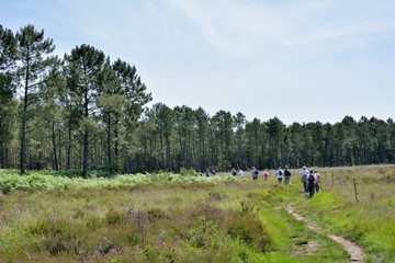 Groupe de randonneurs sur le sentier de la vallée du Trieux en Bretagne