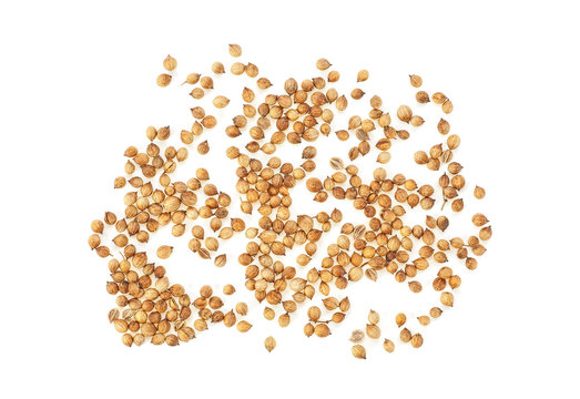 Coriander seeds isolated on white background, top view.