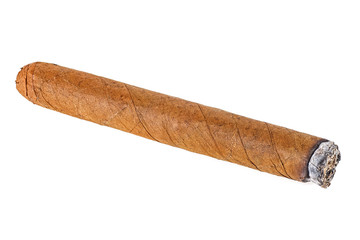 Brown cigar on white background. Burned cigar.