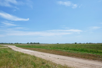 Countryside road in green field on sunny day