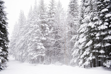 Winter Road NH