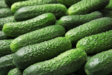 Ripe fresh cucumbers as background